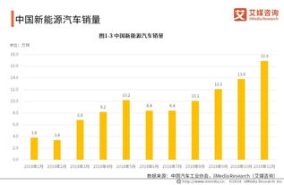 2018 2019中国新能源汽车产业研究与投资分析报告